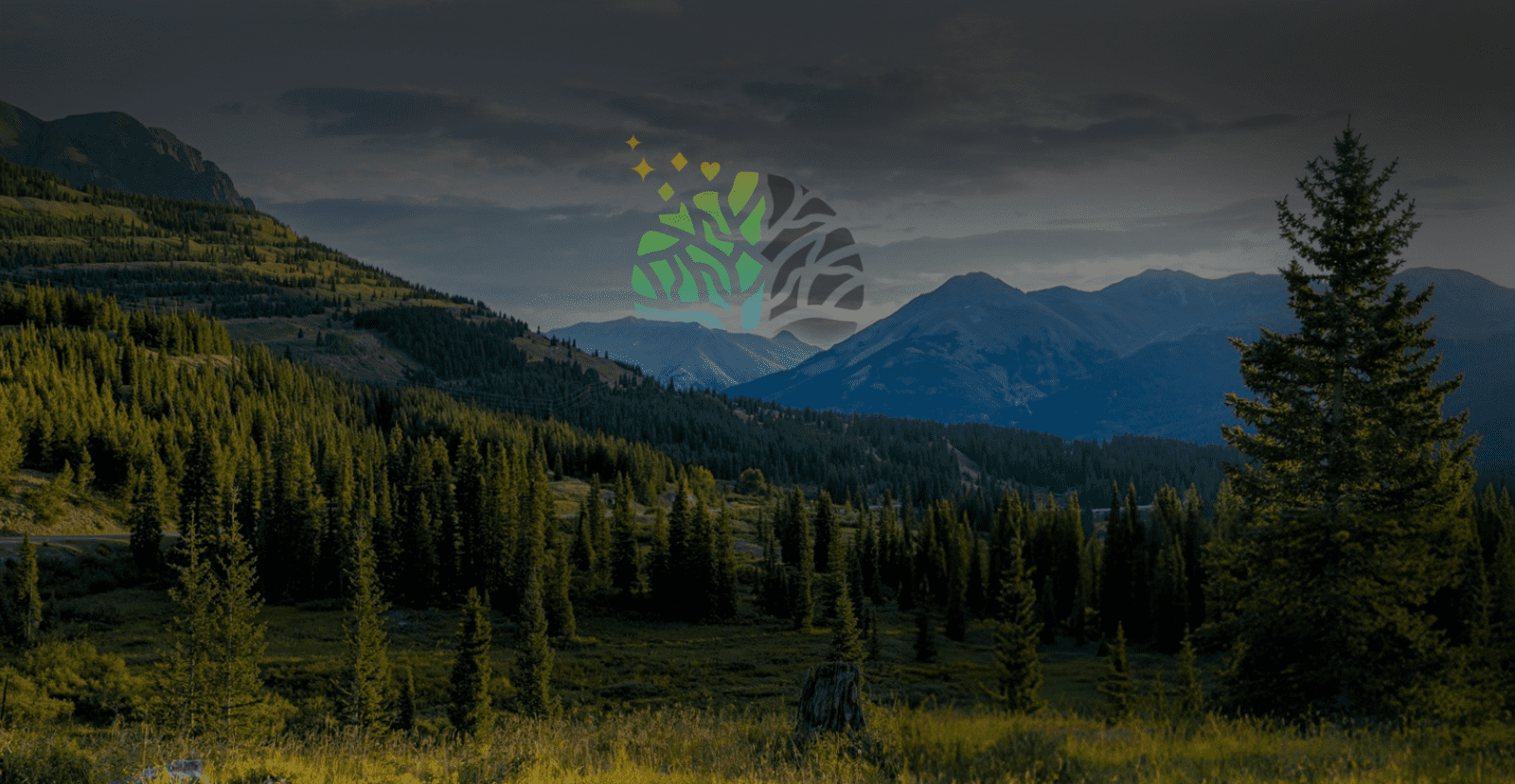 bg - Mental health care concept