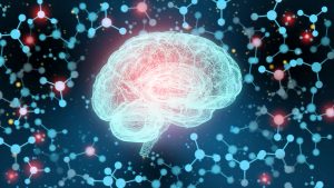 Illustration of a human brain surrounded by interconnected molecular nodes, representing neural connectivity and neuroplasticity.