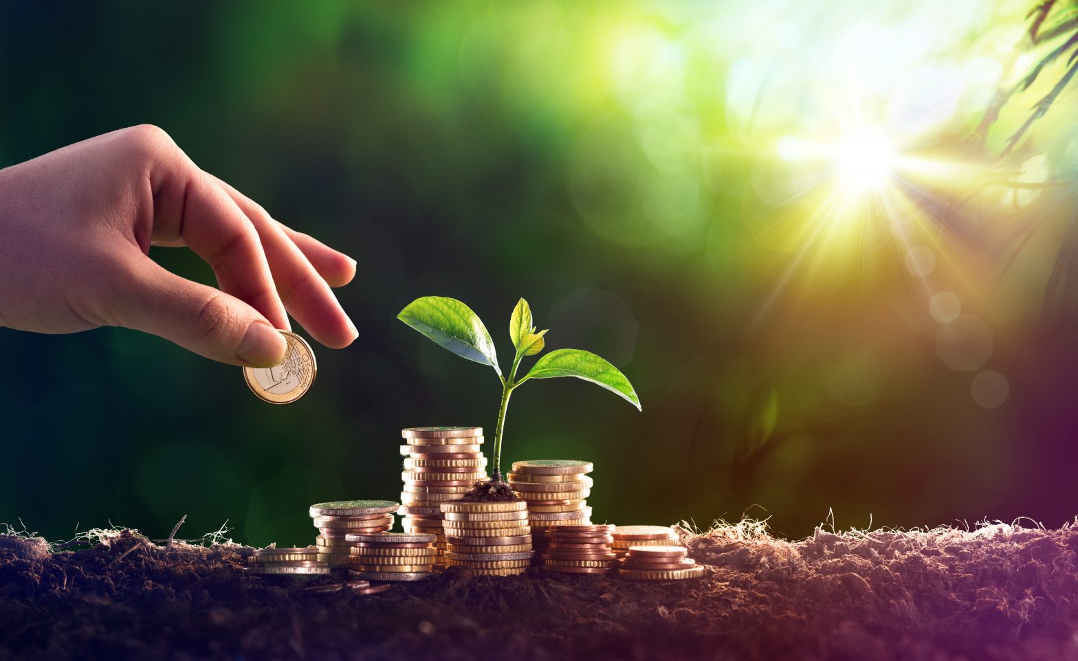 Coins stacked around a young plant illustrate the long-term value, personal growth, and investment behind at-home ketamine therapy cost.
