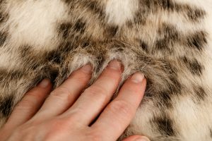 Close-up of a hand focusing on the texture of a soft surface, a grounding technique that helps bring attention back to the present moment.