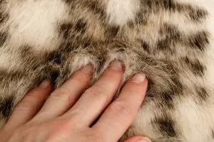 Close-up of a hand focusing on the texture of a soft surface, a grounding technique that helps bring attention back to the present moment.